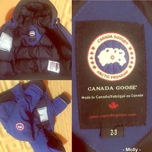 Canadian Goose For Kids